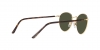 RL7076 Sunglasses