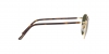 RL7076 Sunglasses