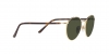 RL7076 Sunglasses