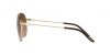 RL7076 Sunglasses