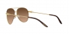RL7076 Sunglasses