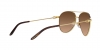 RL7076 Sunglasses