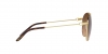 RL7076 Sunglasses