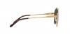 RL7078 The Counrtyman Sunglasses