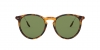 RL8181P Sunglasses