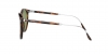 RL8181P Sunglasses