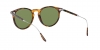 RL8181P Sunglasses