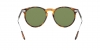 RL8181P Sunglasses