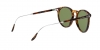 RL8181P Sunglasses