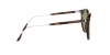 RL8181P Sunglasses