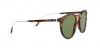 RL8181P Sunglasses