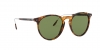 RL8181P Sunglasses