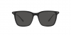 RL8199 Sunglasses