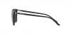 RL8199 Sunglasses