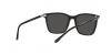 RL8199 Sunglasses