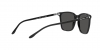 RL8199 Sunglasses