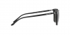 RL8199 Sunglasses