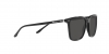 RL8199 Sunglasses
