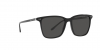 RL8199 Sunglasses
