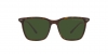 RL8199 Sunglasses