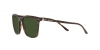 RL8199 Sunglasses