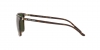 RL8199 Sunglasses