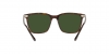 RL8199 Sunglasses