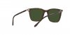 RL8199 Sunglasses