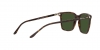 RL8199 Sunglasses