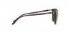 RL8199 Sunglasses
