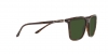 RL8199 Sunglasses