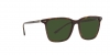 RL8199 Sunglasses