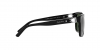 RL8203QU Sunglasses