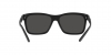 RL8203QU Sunglasses