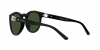 RL8204QU Sunglasses