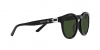 RL8204QU Sunglasses