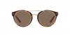 RL8210 Sunglasses
