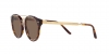 RL8210 Sunglasses