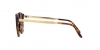 RL8210 Sunglasses