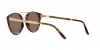 RL8210 Sunglasses