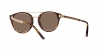 RL8210 Sunglasses