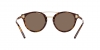 RL8210 Sunglasses