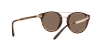 RL8210 Sunglasses