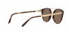 RL8210 Sunglasses