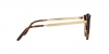 RL8210 Sunglasses