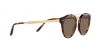 RL8210 Sunglasses