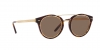 RL8210 Sunglasses