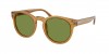 RL8229U Sunglasses