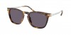 RL8233F Sunglasses
