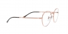 RX3582V David Eyeglasses